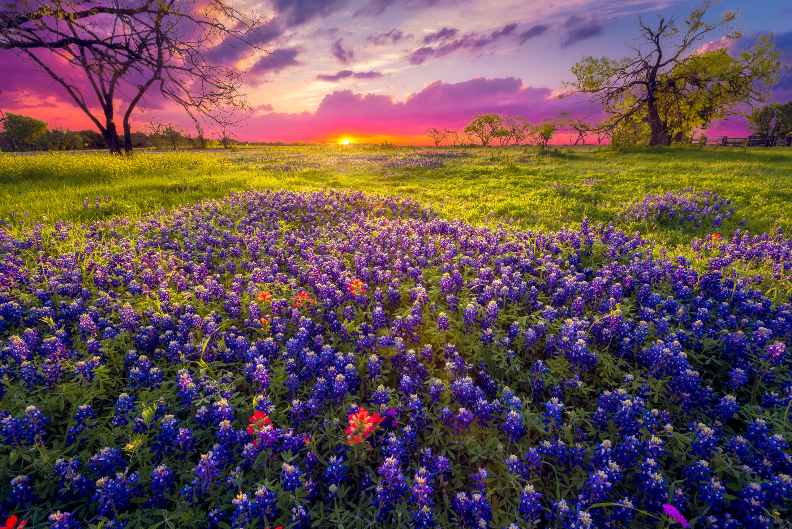 Beautiful sunset view